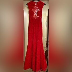 Stunning hot red lace evening dress! Worn twice. Great condition.